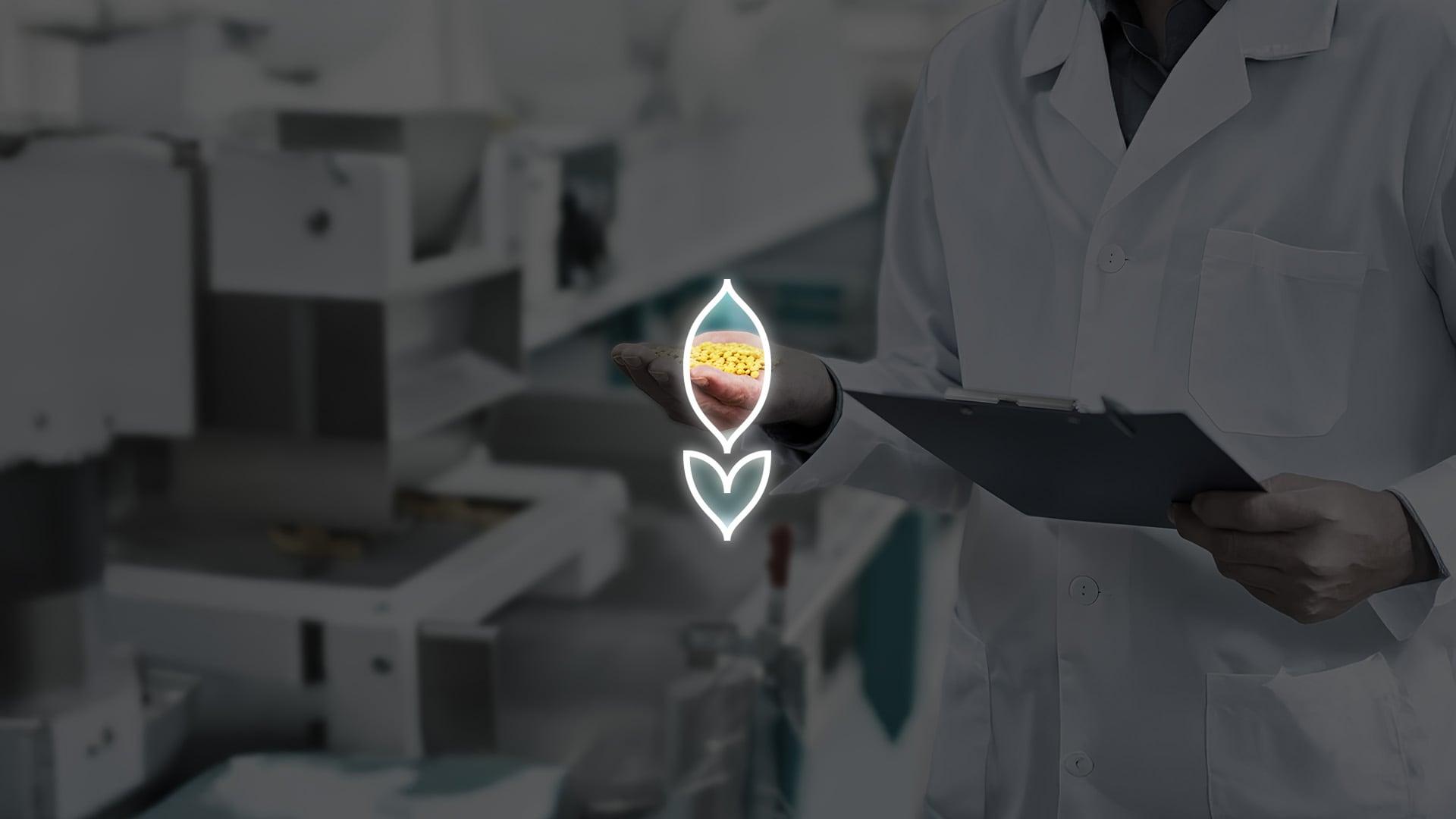 More Choice Process Step 2