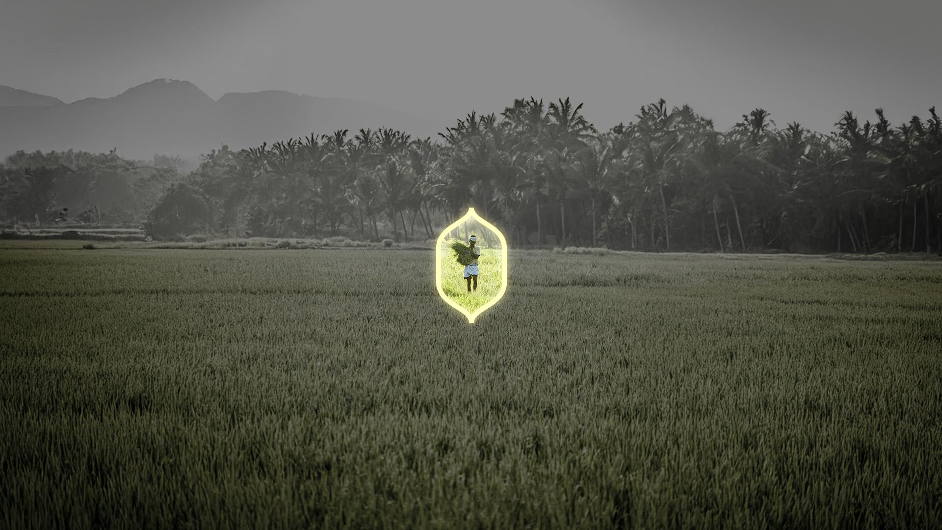 More Selecta Process Step 1